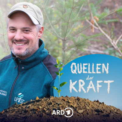 episode Quellen der Kraft - Nichts tun artwork