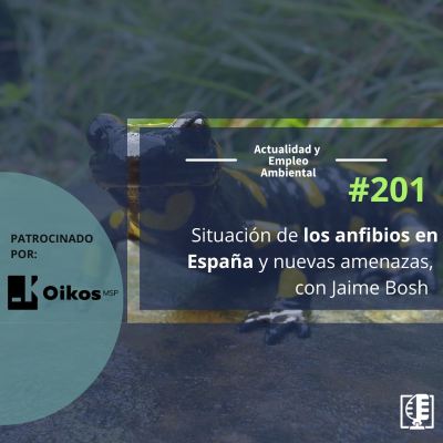 episode Situación de los anfibios en España y nuevas amenazas, con Jaime Bosch #201 artwork