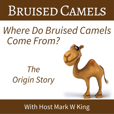 episode Where Do Bruised Camels Come From? artwork