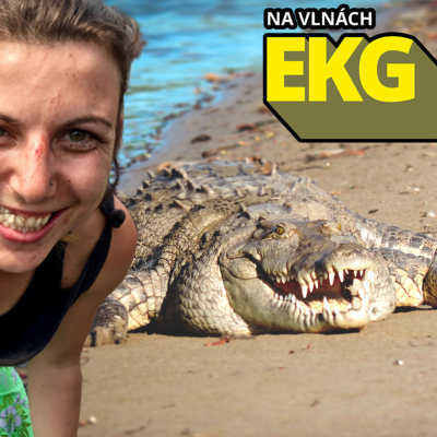 episode Pokusila se spáchat sebevraždu v Nikaragui. Proč se jí to nepovedlo? 🐊 artwork