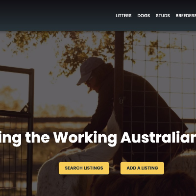 episode The Working Aussie Source Big Announcement artwork
