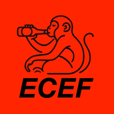 En Comú Ens Fotem