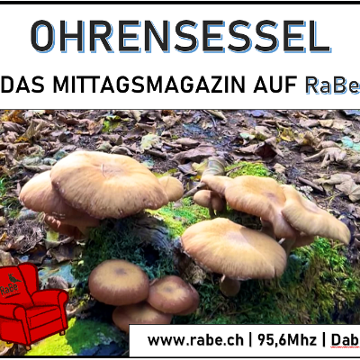 episode Der Pilz - vielfältig in Aroma, Geschmack und Wirkung artwork