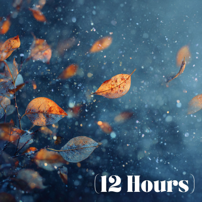 episode Leaves Rustling in a Windy Snowstorm | Sleep Sound (12 Hours) artwork