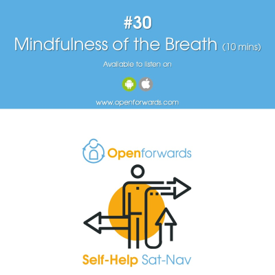 episode #30 – Mindfulness Meditation (10 mins) artwork