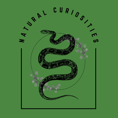 Natural Curiosities