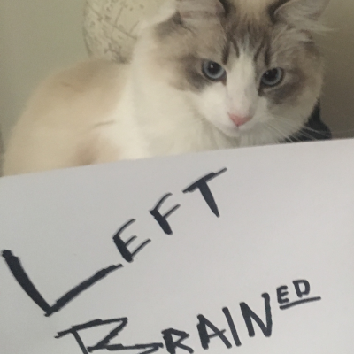 Left Brained Podcast