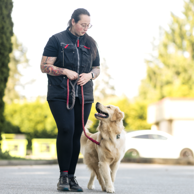 episode 86. 10 Subtle Signs Your Dog's Reactivity Is Improving artwork