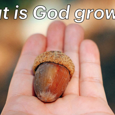 episode S2 Ep2287: "What is God growing?" | Malcolm Cox | 07 September 2025 artwork