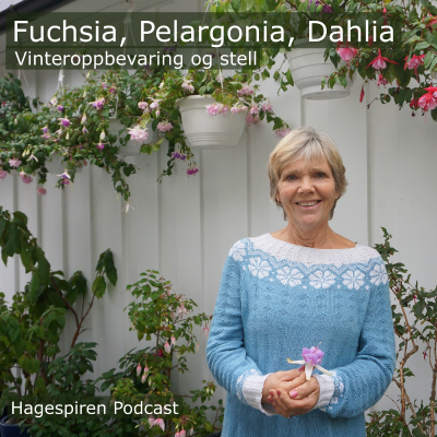 episode 34/25: Tilbakeblikk - Vinteroppbevaring og stell av fuchsia, pelargonia og dahlia med Anne Starholm artwork