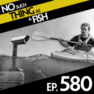 episode 580: No Such Thing As Bin Day On A Nuclear Submarine artwork