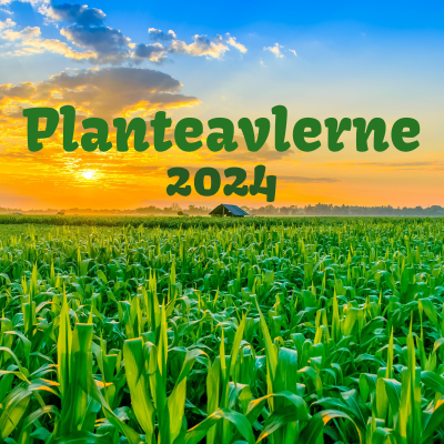 episode Planteavlerne 2024 - Episode 20: Forårstemperatur & kornpriser mm. artwork