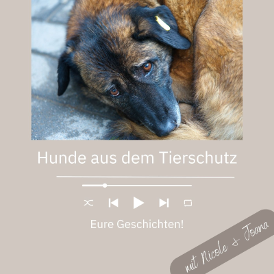 episode #21 Eure schönsten Geschichten mit euren Hunden aus dem Tierschutz artwork
