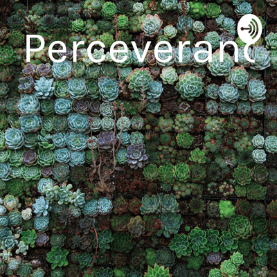 Perceverancia