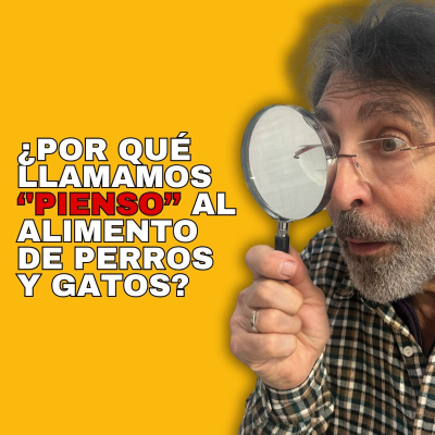 episode ‼️¿POR QUÉ LLAMAMOS ‘'PIENSO’’ AL ALIMENTO DE PERROS Y GATOS? 🔍#pienso #perros #gatos artwork