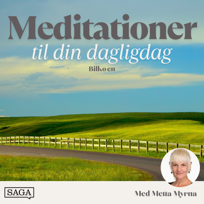 episode Meditation i bilkøen - 15 minutters guidet meditation artwork