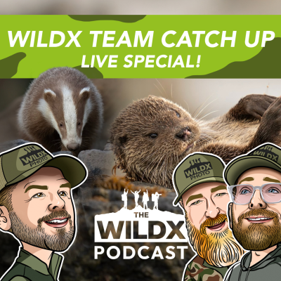 episode Episode 36 - WILDX TEAM CATCH UP - Live Special artwork