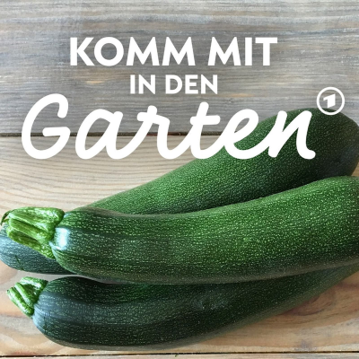 episode Zucchini: Tipps für eine reiche Ernte artwork