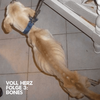 episode Folge 3 - Bones artwork