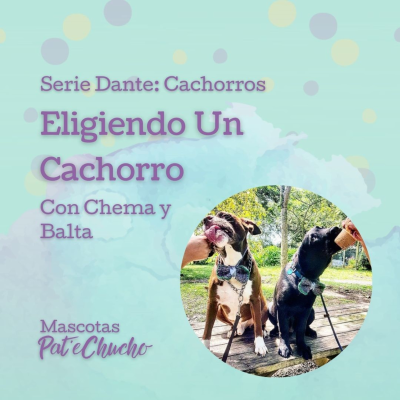 episode Serie Cachorros: Eligiendo un Cachorro con Chema y Balta artwork