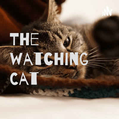 The watching Cat