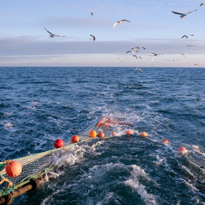 episode Safety at sea artwork