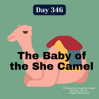 episode Day 346 - The Baby of the She Camel artwork