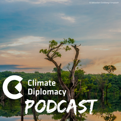 episode Episode 52: 100 days until COP30: Brazil on climate, environment and human security artwork