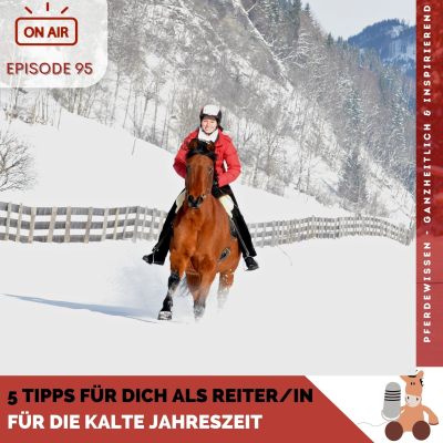 ❄ Wintertipps für ReiterInnen & lustige Anekdoten