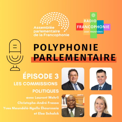 episode Les commissions politiques au sein de l'APF artwork