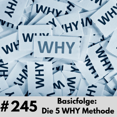 episode 245 - Basicfolge: Die 5 WHY Methode artwork