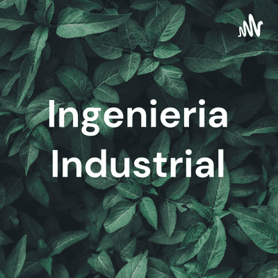 Ingenieria Industrial