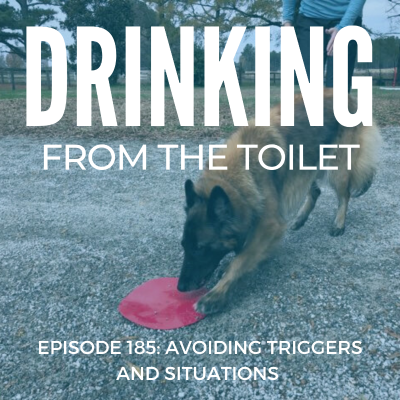 episode #185: Avoiding Triggers and Situations artwork
