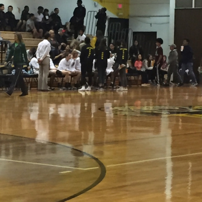 episode Girls 🏀 Spring Woods Tigers vs Spring Lions 2/14 artwork