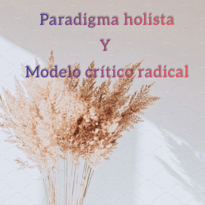 episode Paradigma Holista y Modelo Crítico Radical artwork