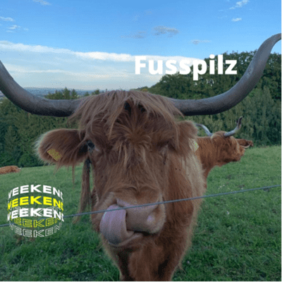 Fusspilz
