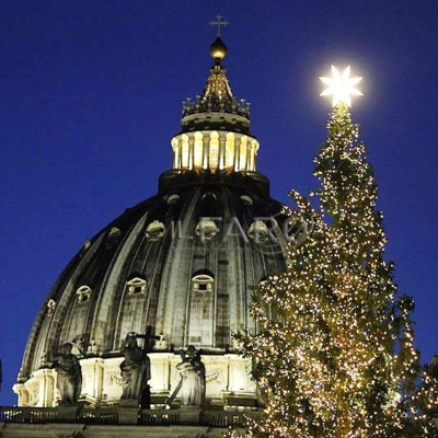 episode Fesserie ecologiste: no all'abete in Vaticano artwork