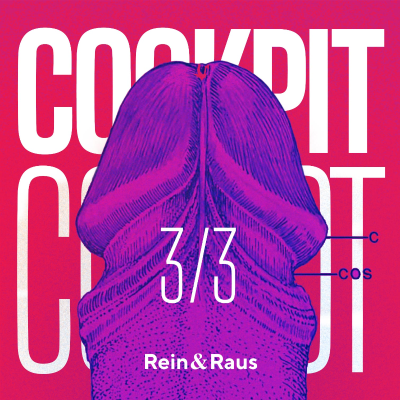 episode #238 › COCKPIT 3/3: Sind Erektionsprobleme körperlich oder psychisch? Die 6 Ebenen von Erektionsstörungen entschlüsselt artwork