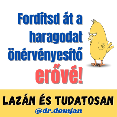 episode VI/2. Fordítsd át a haragodat önérvényesítő erővé artwork