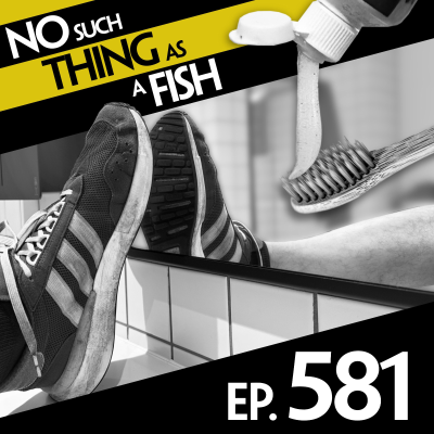 episode 581: No Such Thing As Clean Victoria artwork