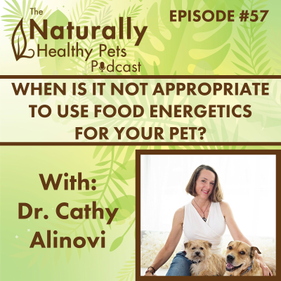 episode EP 57: When is it NOT Appropriate to Use Food Energetics for your Pet? with Dr. Cathy Alinovi artwork