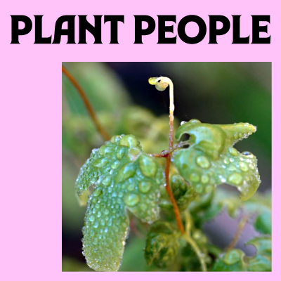 episode Let's Botanize artwork
