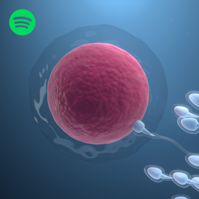 episode Kinderwunsch & Eizellqualität artwork