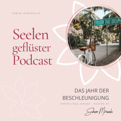 episode Das Jahr der Beschleunigung artwork