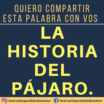 episode Quiero compartir - 15 - La historia de un pájaro artwork