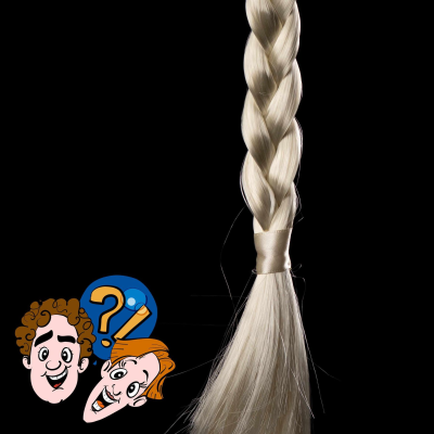episode Kann man wie im Märchen „Rapunzel“ an Haaren einen Turm hochklettern? artwork