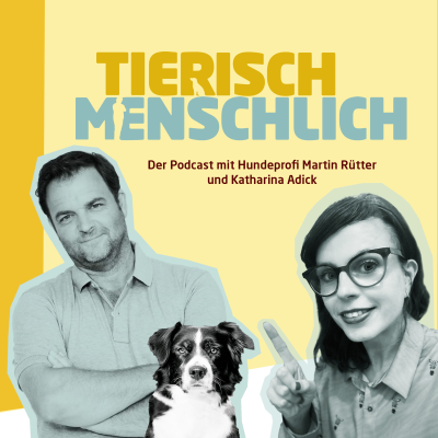 Tierisch menschlich - Der Podcast mit Hundeprofi Martin Rütter und Katharina Adick - podcast