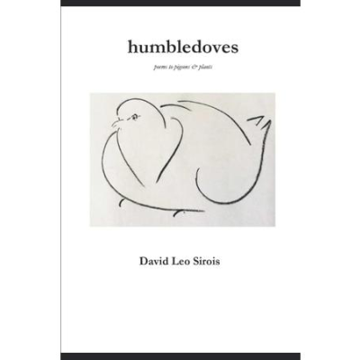 episode QLPOR-YouTube Presents David Leo Sirois: Pre-Recorded Interview and Reading artwork