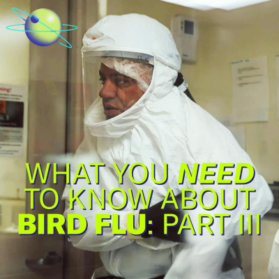 episode How to Fight Bird Flu If It Becomes the Next Human Pandemic (Part 3) artwork