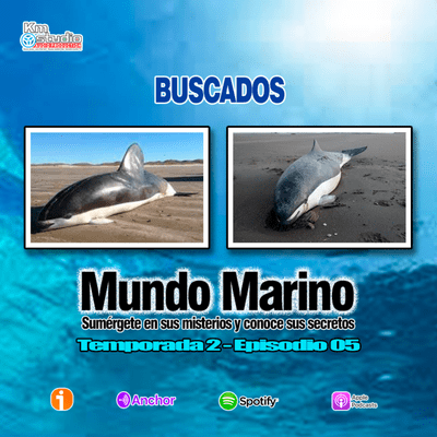 episode BUSCADOS artwork